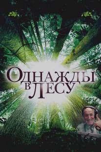 Однажды в лесу/Once in the Forest (2013)