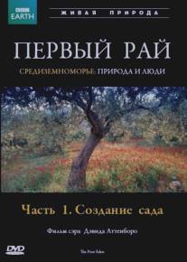 Первый Рай/First Eden, The