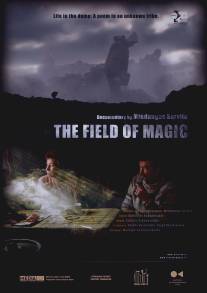 Поле чудес/Field of Magic, The (2011)
