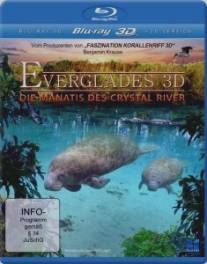 Приключение в Эверглэйдс/Abenteuer Everglades (2012)