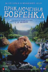 Приключения бобрёнка/Meche Blanche, les aventures du petit castor (2008)