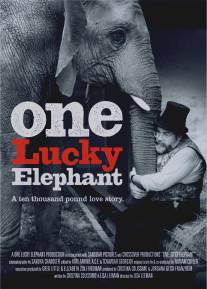Счастливая слониха/One Lucky Elephant (2010)