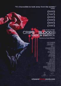 Сделано в Америке/Made in America (2008)