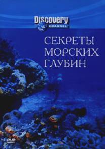 Секреты морских глубин