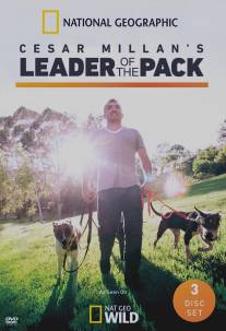 Сесар Миллан: Вожак стаи/Cesar Millan's Leader of the Pack (2012)