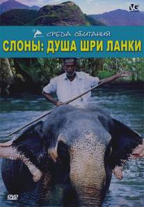 Слоны: Душа Шри-Ланки/Elephants: Soul of Sri Lanka