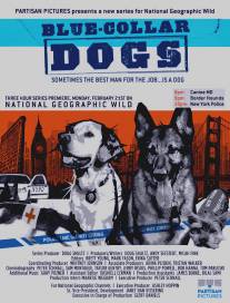 Собаки на службе/Blue Collar Dogs (2011)