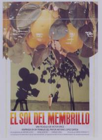 Солнце в листве айвового дерева/El sol del membrillo (1992)