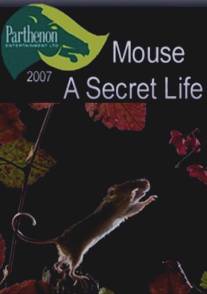 Тайная жизнь мышей/Mouse: A Secret Life (2007)