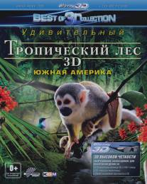 Тропический лес 3D/Rainforest 3D (2012)