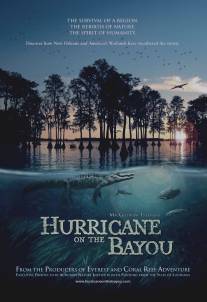 Ураган на Байу/Hurricane on the Bayou