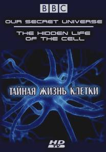 Внутренняя вселенная: Тайная жизнь клетки/Our Secret Universe: The Hidden Life of the Cell (2012)