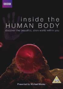 Внутри человеческого тела/Inside the Human Body