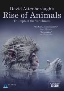 Восстание животных: Триумф позвоночных/Rise of Animals: Triumph of the Vertebrates (2013)