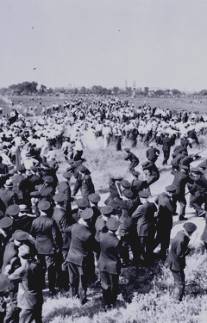 Забастовки рабочих-сталелитейщиков/Republic Steel Strike Riots Newsreel Footage (1937)