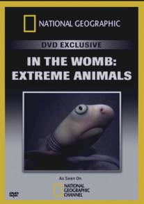 Жизнь до рождения: Экстремальные животные/In the Womb: Extreme Animals