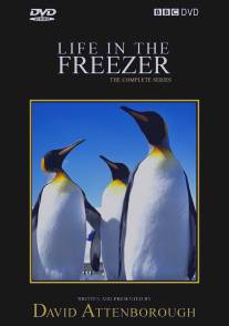 Жизнь в морозильнике/Life in the Freezer (1993)