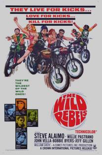 Дикие мятежники/Wild Rebels (1967)