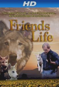 Друзья навек/Friends for Life (2008)
