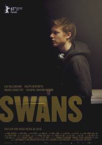 Лебеди/Swans (2011)