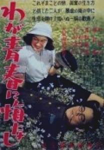 Не сожалею о своей юности/Waga seishun ni kuinashi (1946)