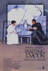 Ожидая Луну/Waiting for the Moon