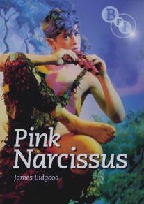 Розовый нарцисс/Pink Narcissus