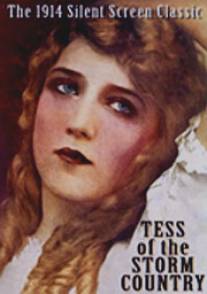 Тэсс из Страны бурь/Tess of the Storm Country (1914)
