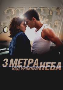 Три метра над уровнем неба/Tres metros sobre el cielo (2010)