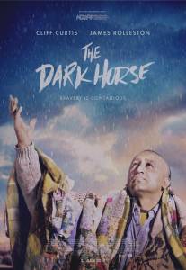 Тёмная лошадка/Dark Horse, The (2014)