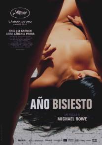 Високосный год/Ano bisiesto (2010)