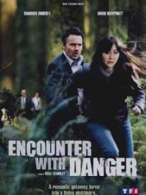 Встреча с угрозой/Encounter with Danger (2009)