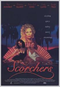 Южане/Scorchers (1991)