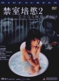 Идеальное образование 2: 40 дней любви/Kanzen-naru shiiku: Ai no 40-nichi (2001)