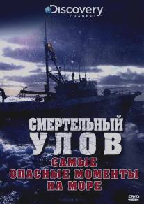 Смертельный улов: Самые опасные моменты на море/Deadliest Catch: Scariest Moments at Sea (2010)