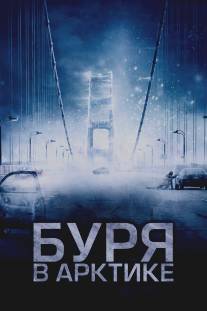 Буря в Арктике/Arctic Blast (2010)