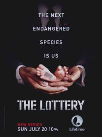 Лотерея/Lottery, The (2014)