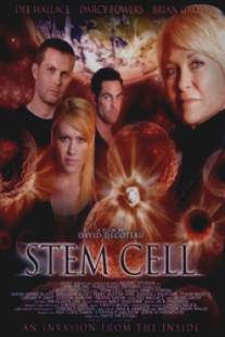 Stem Cell