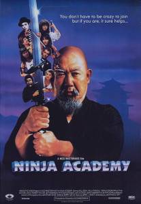 Академия ниндзя/Ninja Academy (1989)