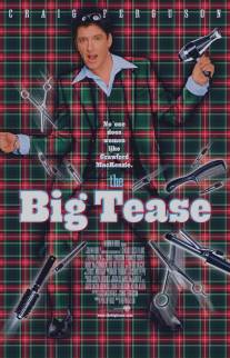 Большая стрижка/Big Tease, The (1999)