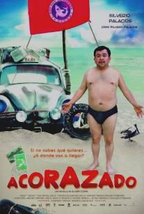 Броненосец/Acorazado (2010)