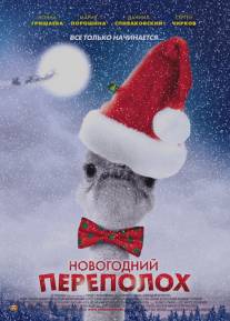 Новогодний переполох/Novogodniy perepolokh (2012)