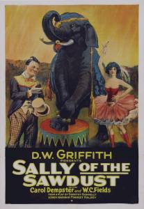 Салли из опилок/Sally of the Sawdust (1925)