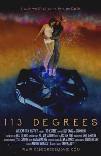 113 градусов/113 Degrees (2013)