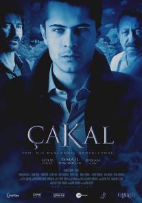 Шакал/Cakal