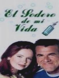 Искрящаяся любовь/El sodero de mi vida (2001)
