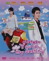 Обречён любить тебя/Ming zhong zhu ding wo ai ni (2008)
