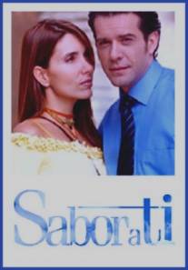 Сила любви/Sabor a ti (2004)