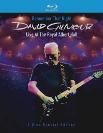 David Gilmour Remember That Night (2007)