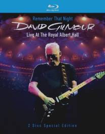 David Gilmour Remember That Night